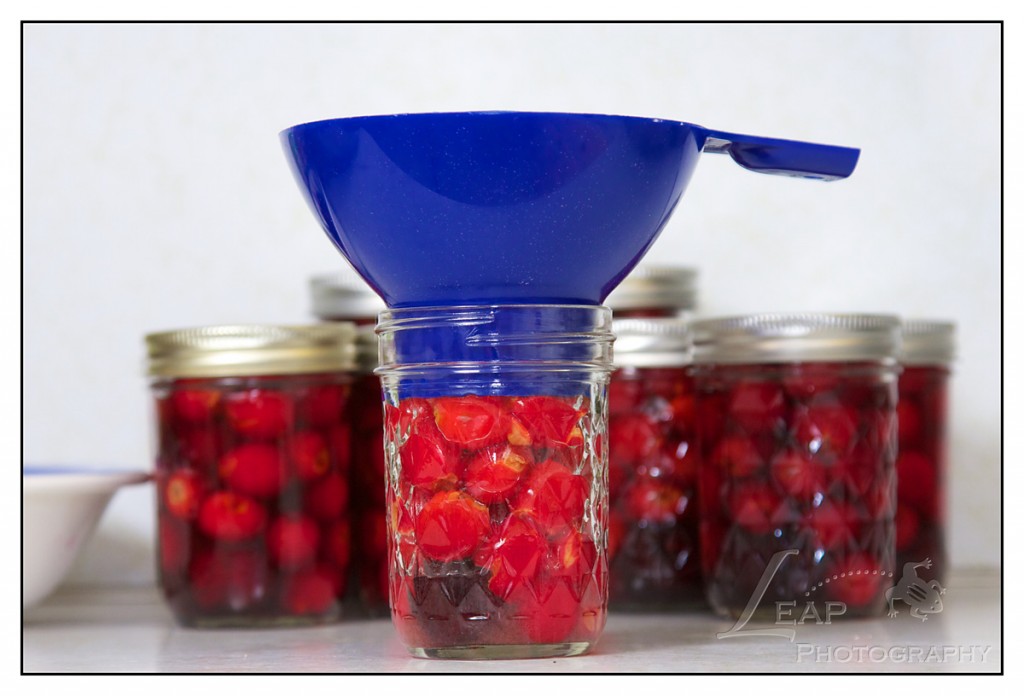 filling canning jar with cherries