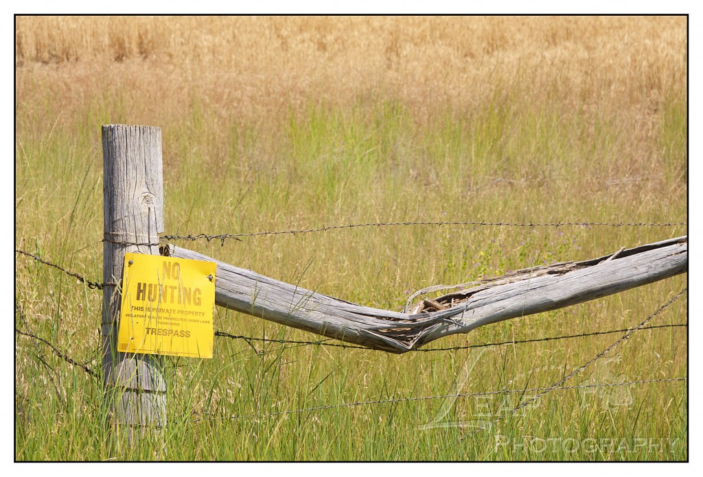 No Hunting sign in Central Montana