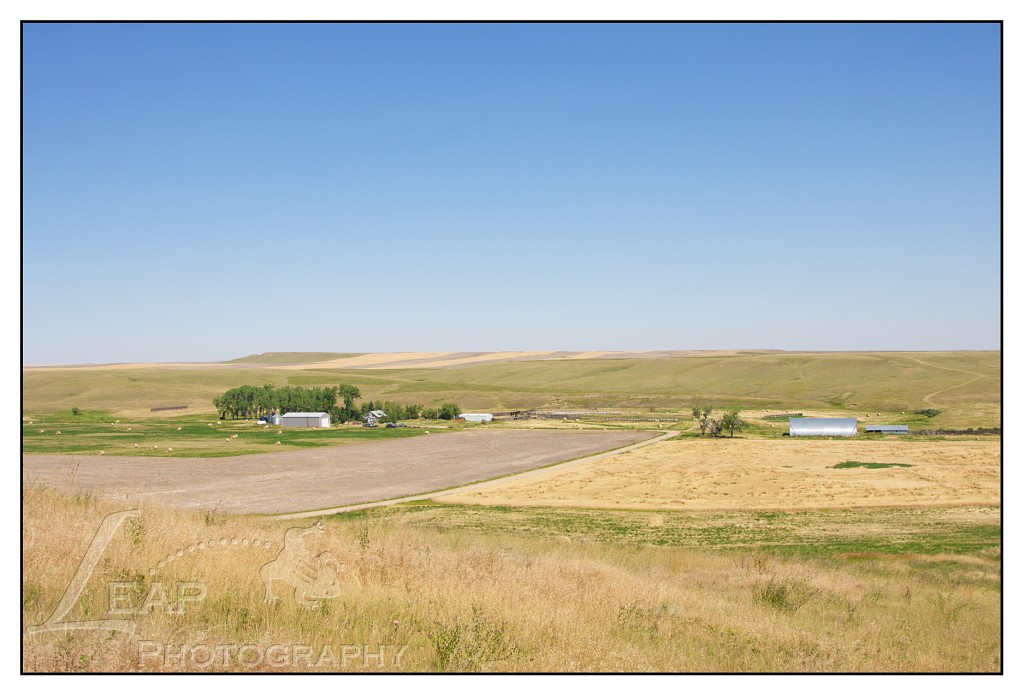 Leap Ranch 2015