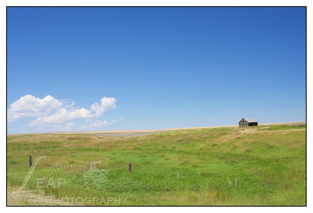 old homestead in Central Montana