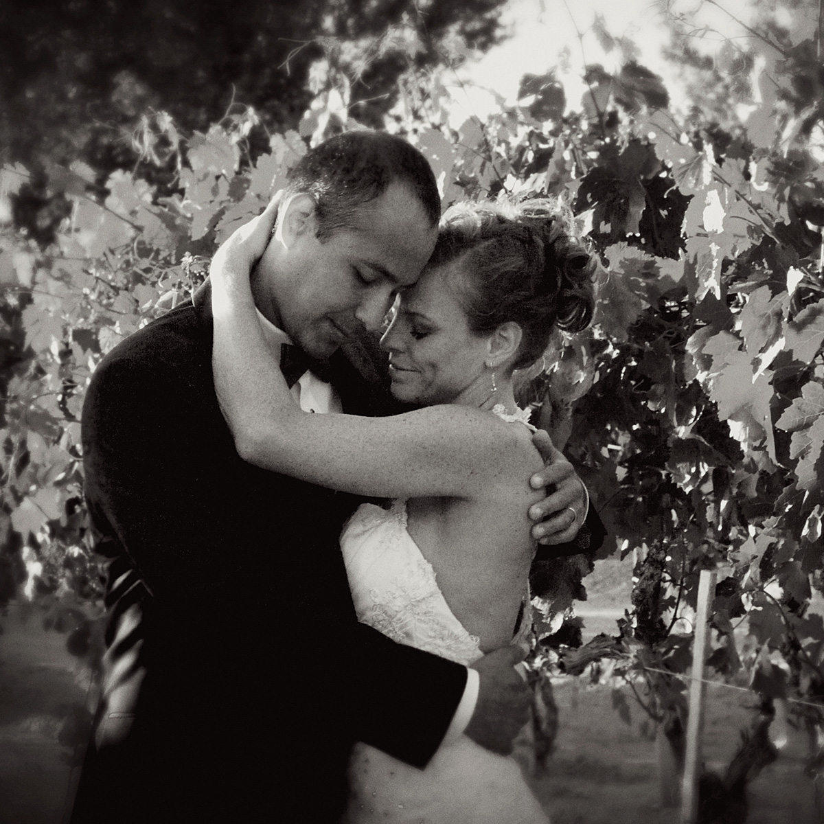 fox canyon vineyard wedding photograph